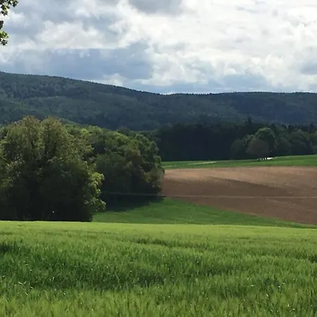 Havre De Paix Dans Le Jura Alsacien Avec Piscine Privee Externe De Mai A Septembre Villa Bendorf Exterior photo