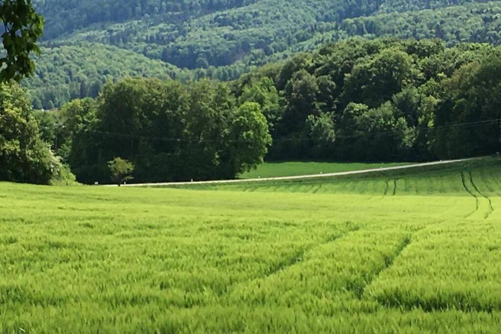 Holiday home Havre De Paix Dans Le Jura Alsacien Avec Piscine Privee Externe De Mai A Septembre *
