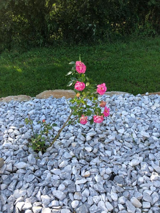 Havre De Paix Dans Le Jura Alsacien Avec Piscine Privee Externe De Mai A Septembre *